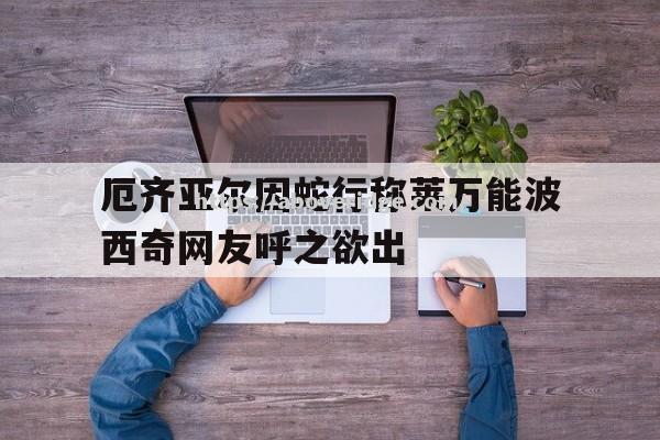 厄齐亚尔因蛇行称莱万能波西奇网友呼之欲出